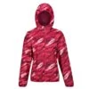 Regatta Womens/Ladies Serenton Brush Stroke Waterproof Jacket (Wild Plum)