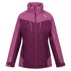 Regatta Womens/Ladies Calderdale Winter Waterproof Jacket (Amaranth Haze/Violet)